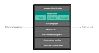 Apple NLP_sm.png