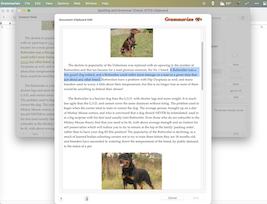 Document Edit Window is resizable.